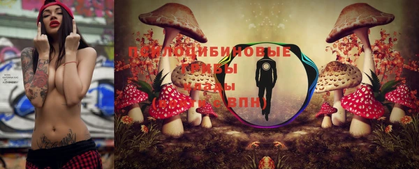 твердый Балабаново